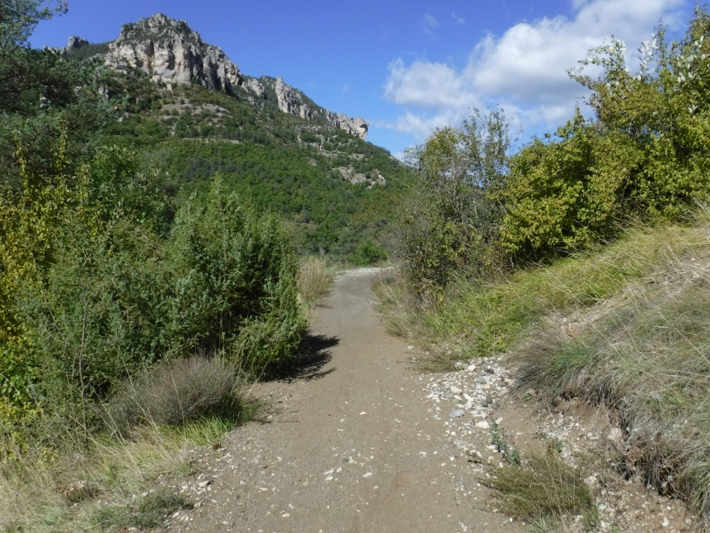 sentier de randonnée entre les vignes et le rozier