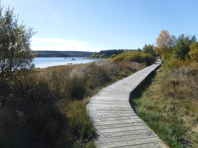 passerelle sur le lac de charpal