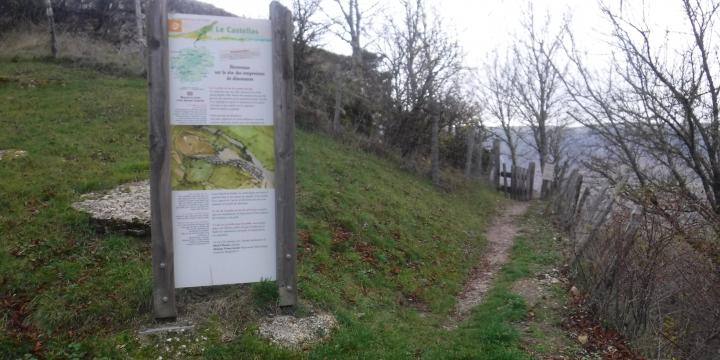 Sur les traces des dinosaures à Saint-Laurent-de-Trèves