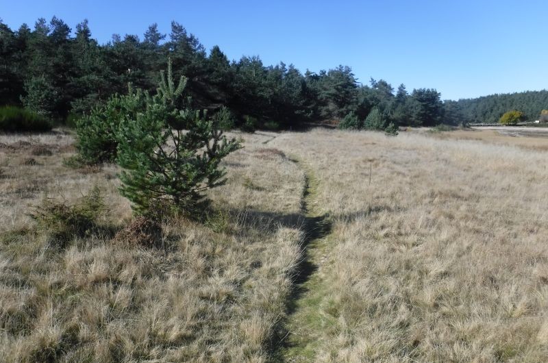 tourbières de l'étang de barandon