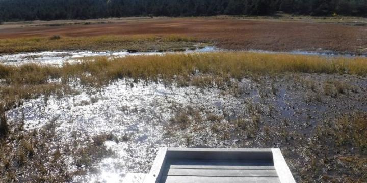Balade nature sur le sentier de découverte de l’étang de Barandon