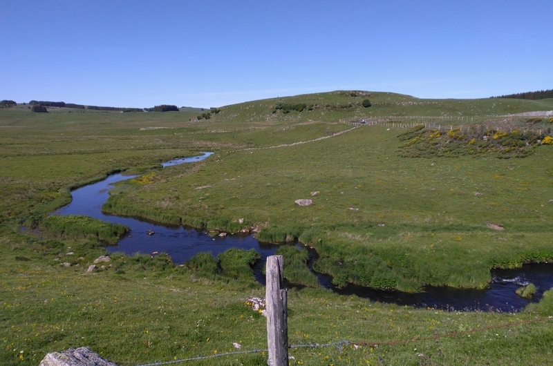 paysage d'aubrac