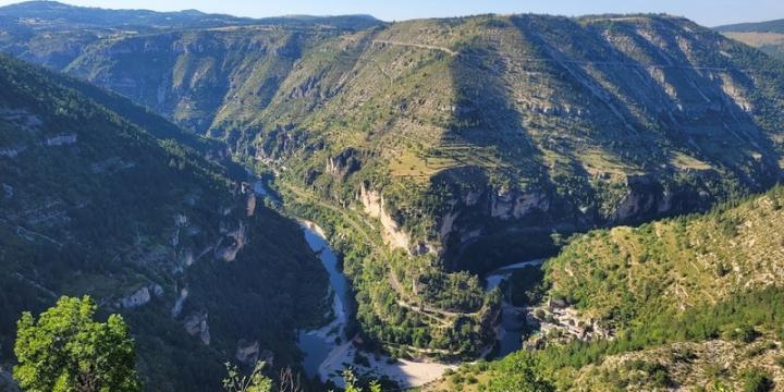 Comprendre la Lozère : un voyage à travers cinq territoires d'exception