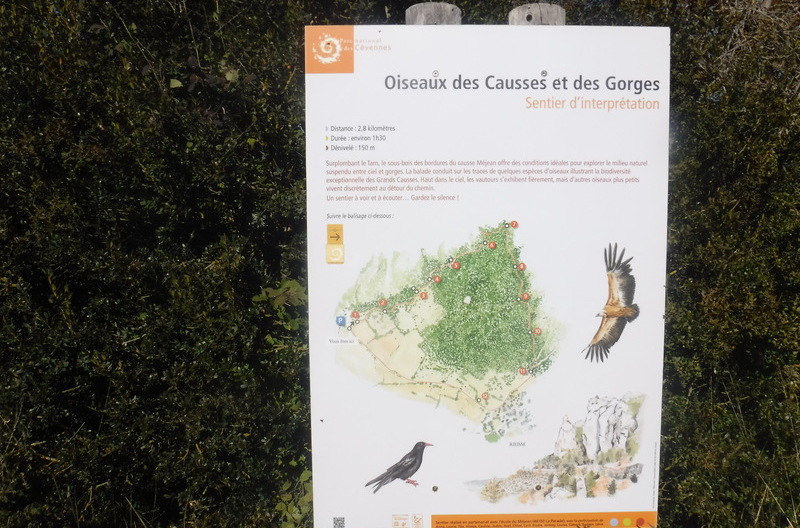 promenade des oiseaux