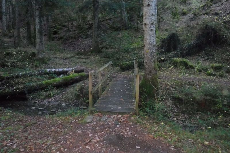 pont sur le sentier de roquedols