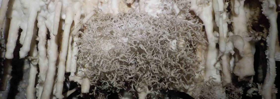 Spéléologie dans les Cévennes dans la grotte de Malaval - 2