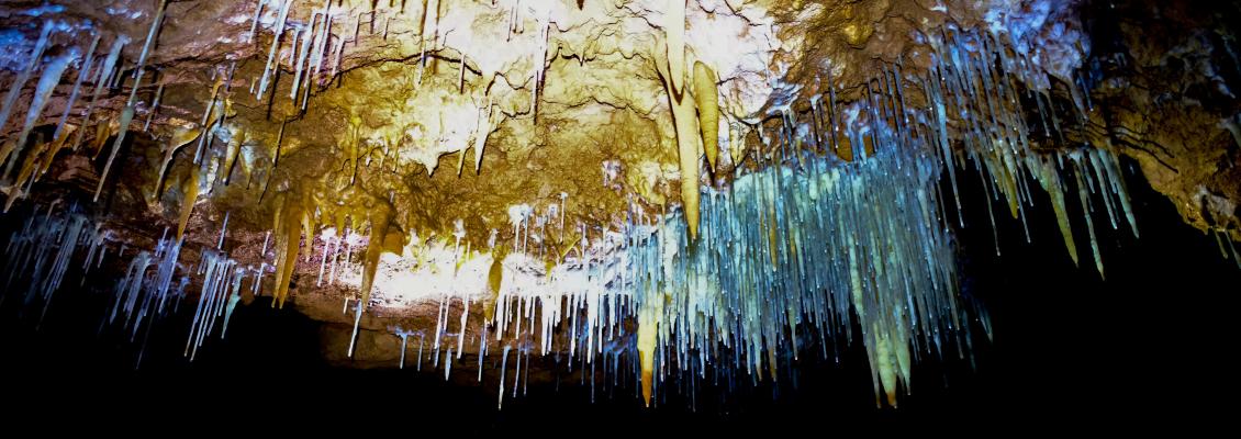 Spéléo dans les gorges du Tarn dans la grotte de la Caze  - 2