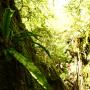 Canyoning - Canyon sec dans les gorges du Tarn - 11